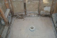 Shower Drain